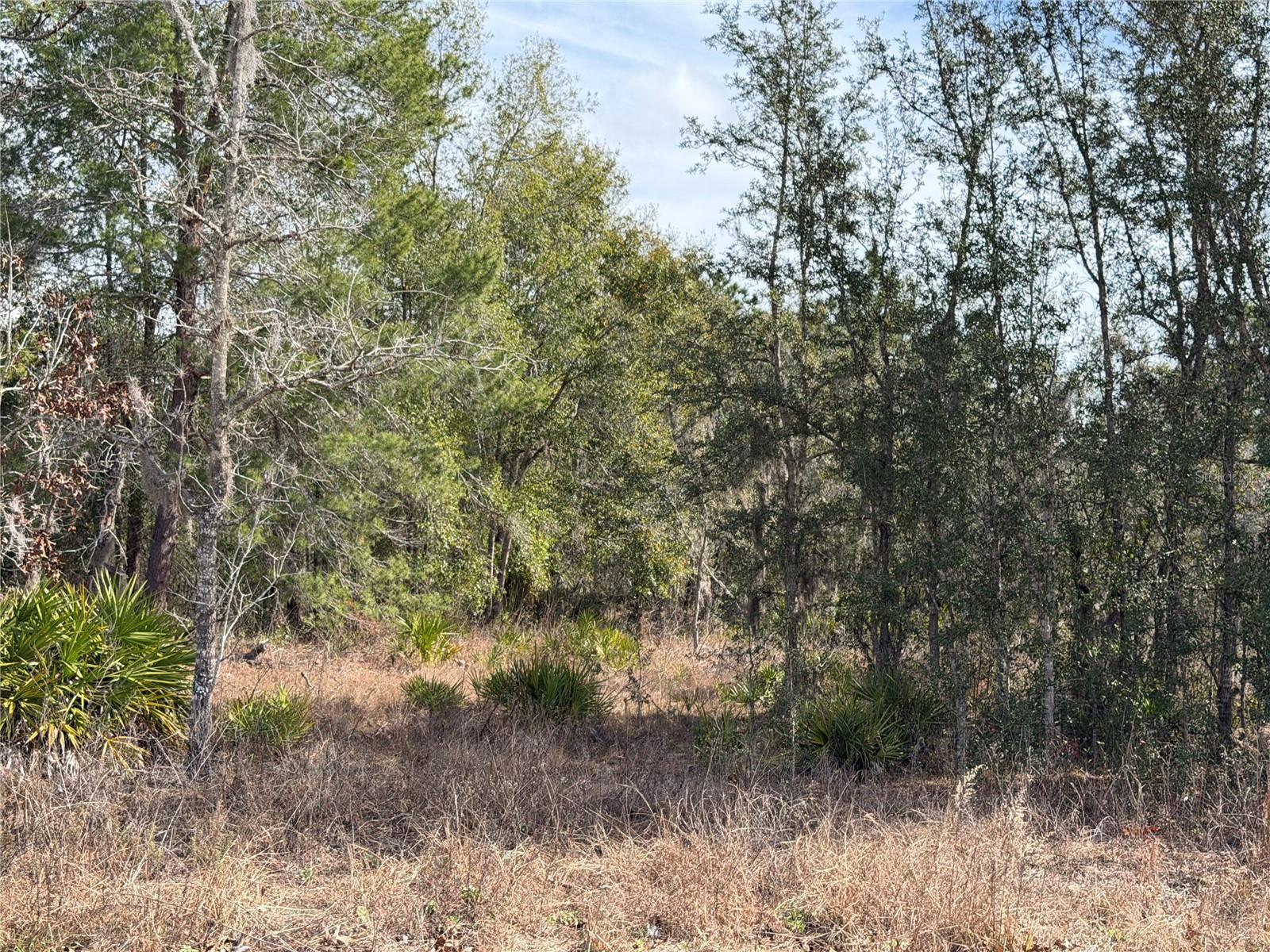 16426 Courlan, Brooksville, FL 34614