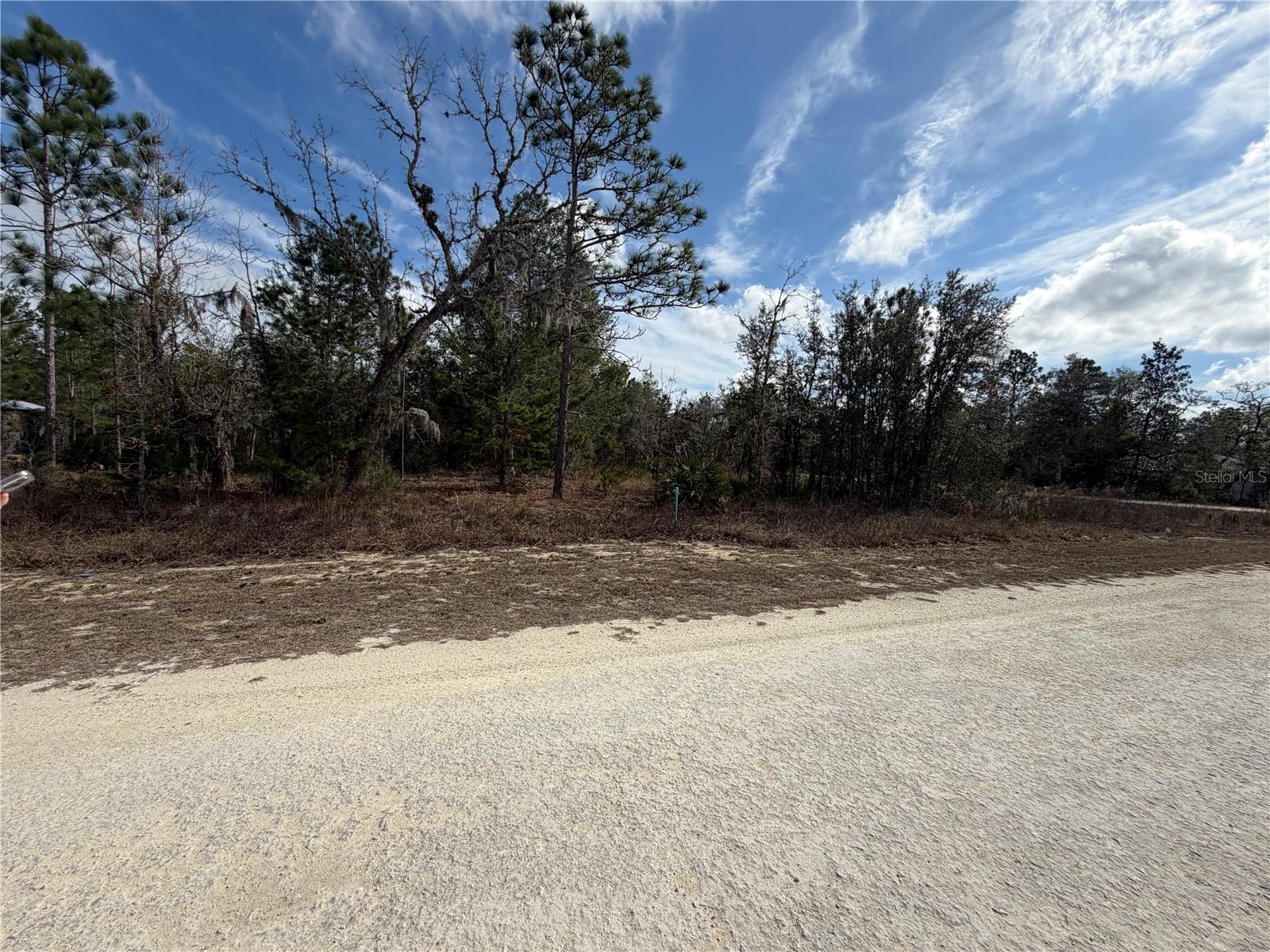 16426 Courlan, Brooksville, FL 34614