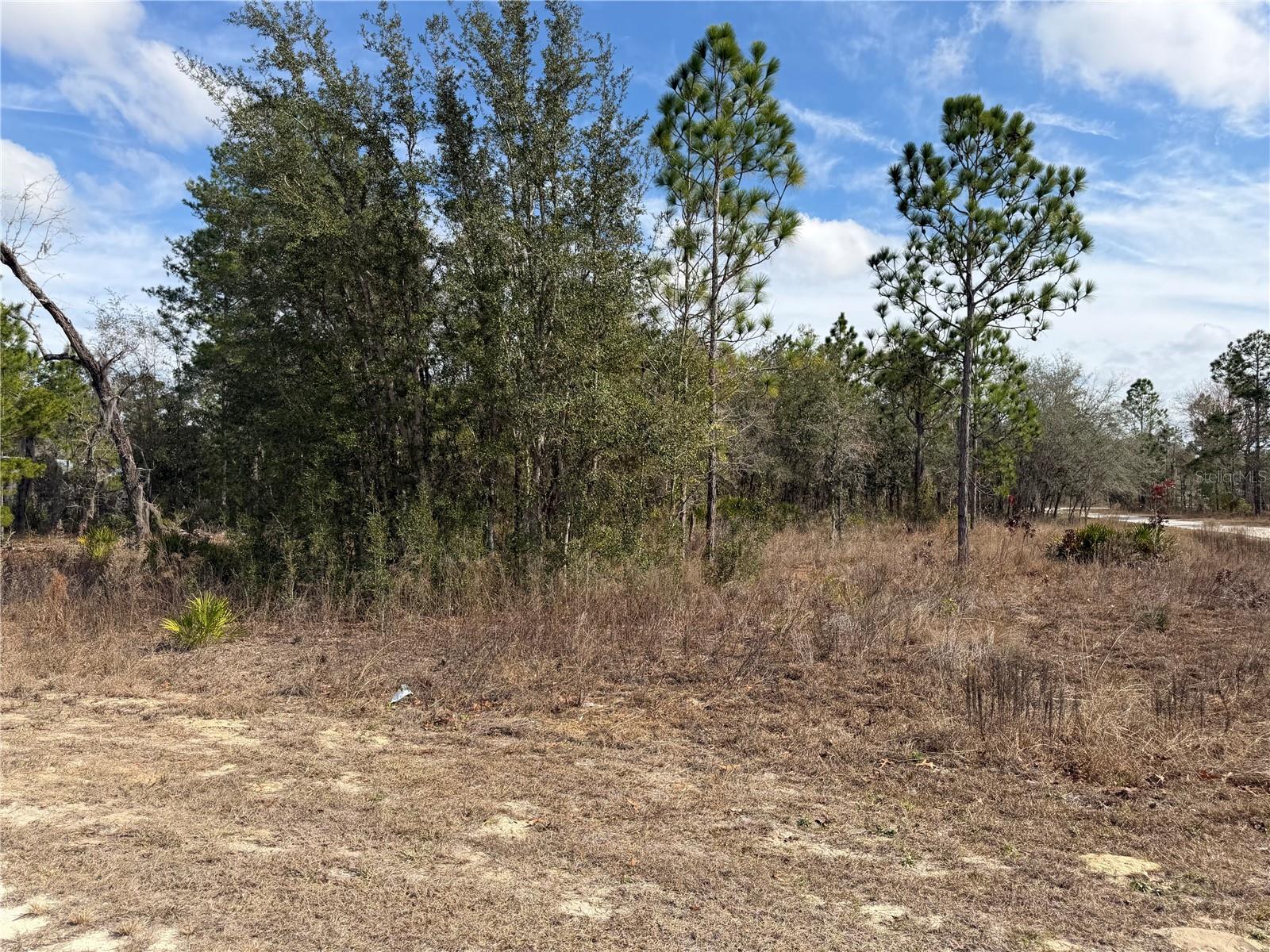 16426 Courlan, Brooksville, FL 34614