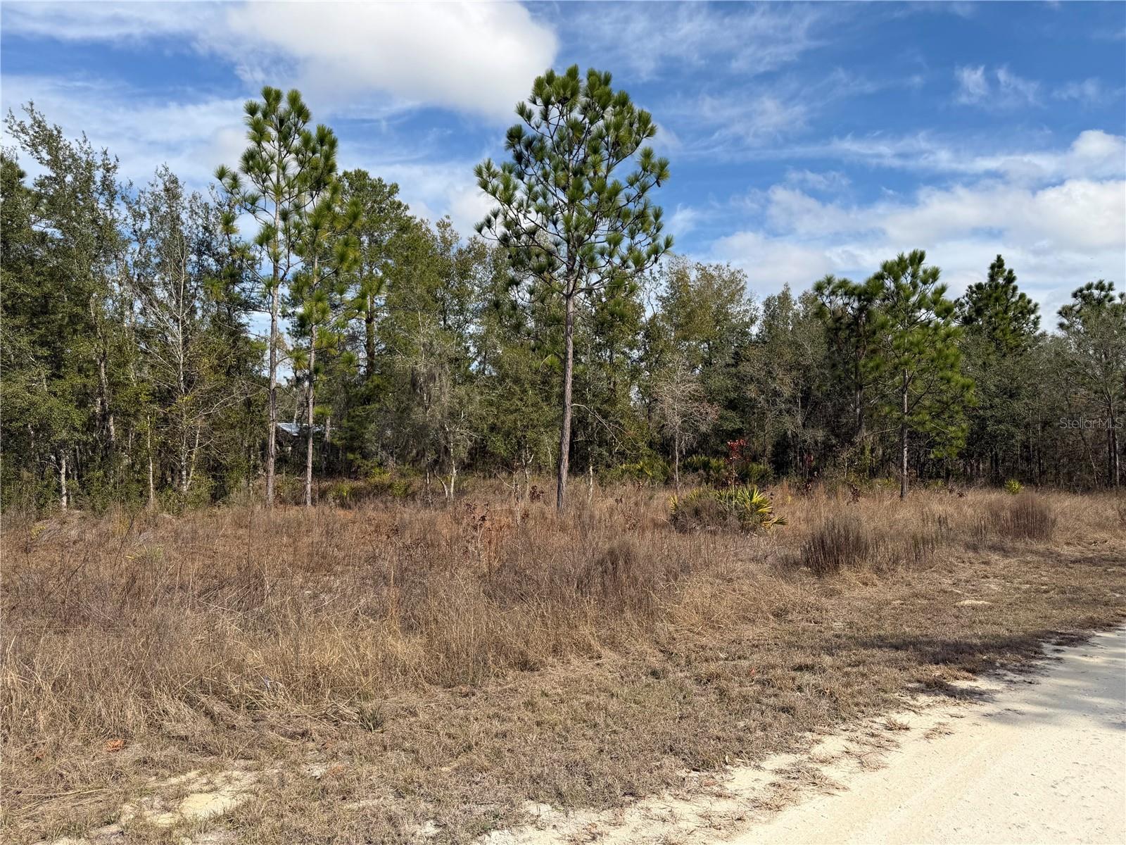 16426 Courlan, Brooksville, FL 34614
