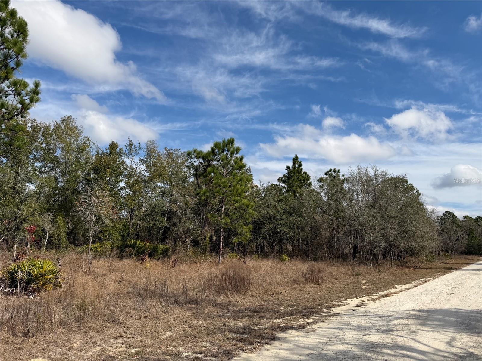 16426 Courlan, Brooksville, FL 34614