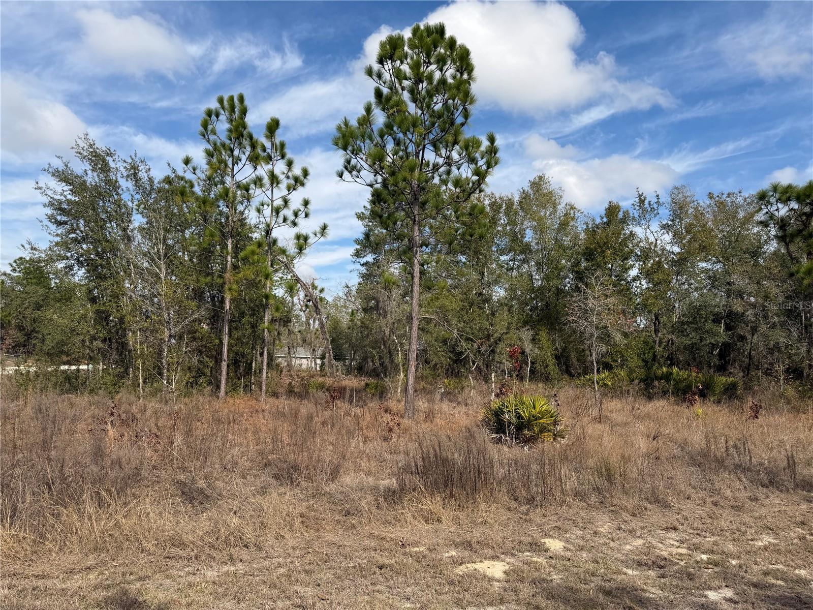 16426 Courlan, Brooksville, FL 34614
