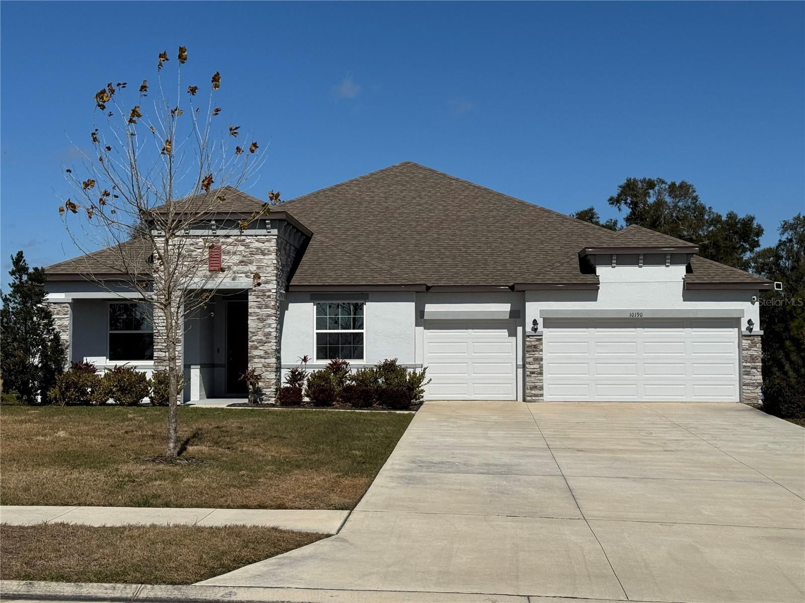10190 Dolphin Gull, Thonotosassa, FL 33592