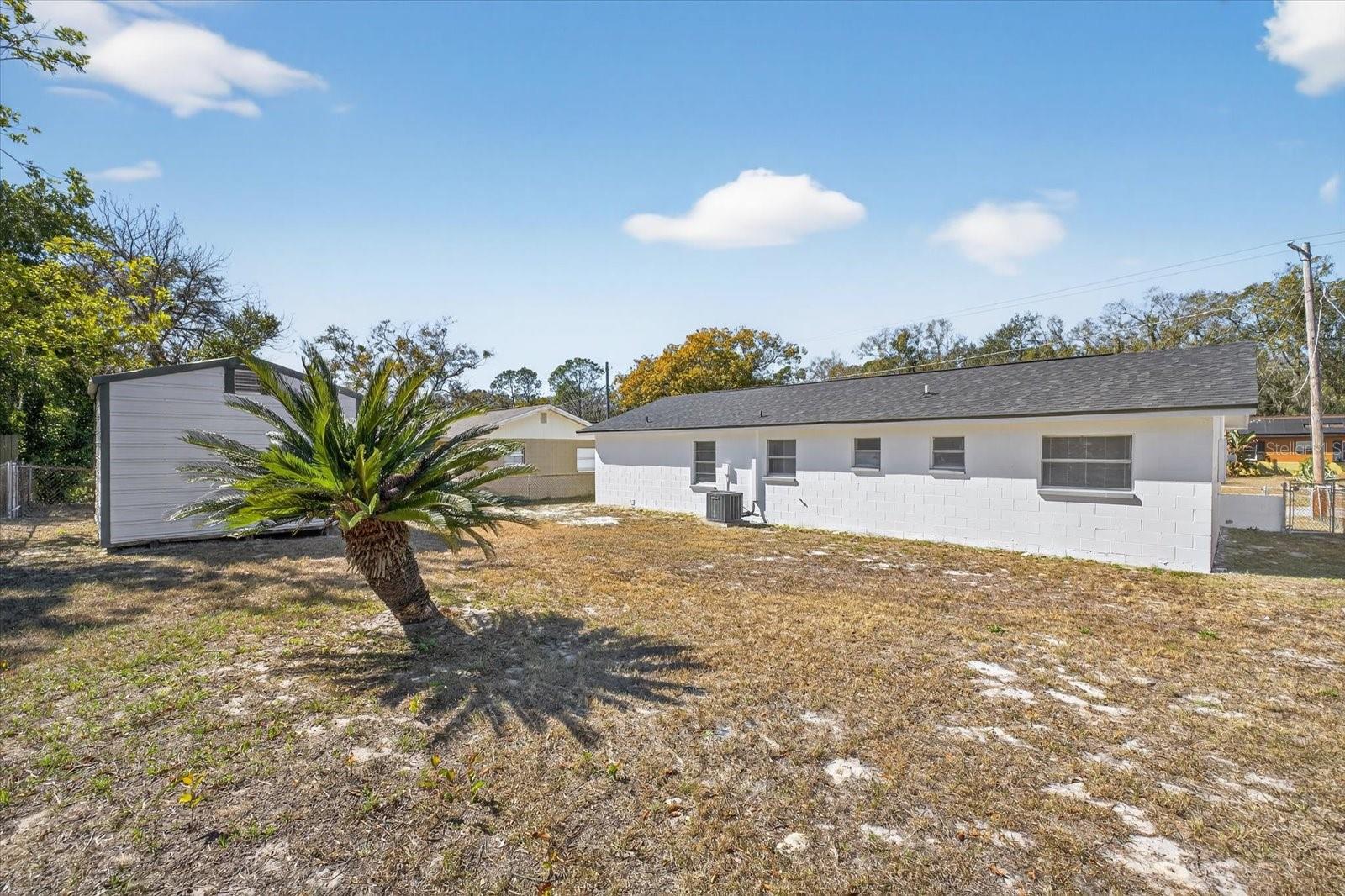8309 Tupelo, Tampa, FL 33637