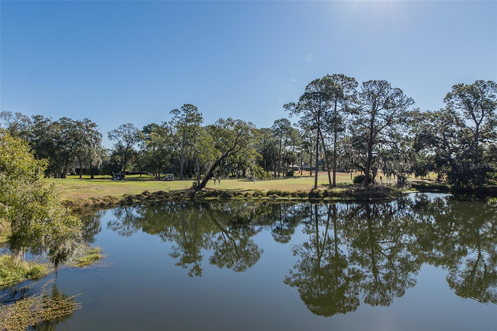 2676 Tanglewood, Palm Harbor, FL 34685