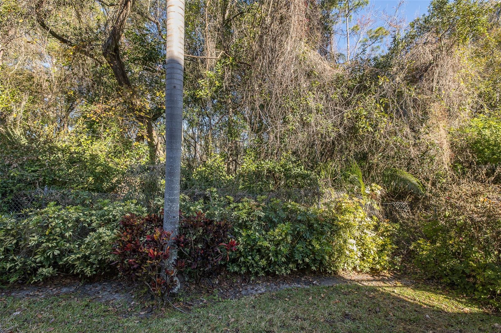 2676 Tanglewood, Palm Harbor, FL 34685