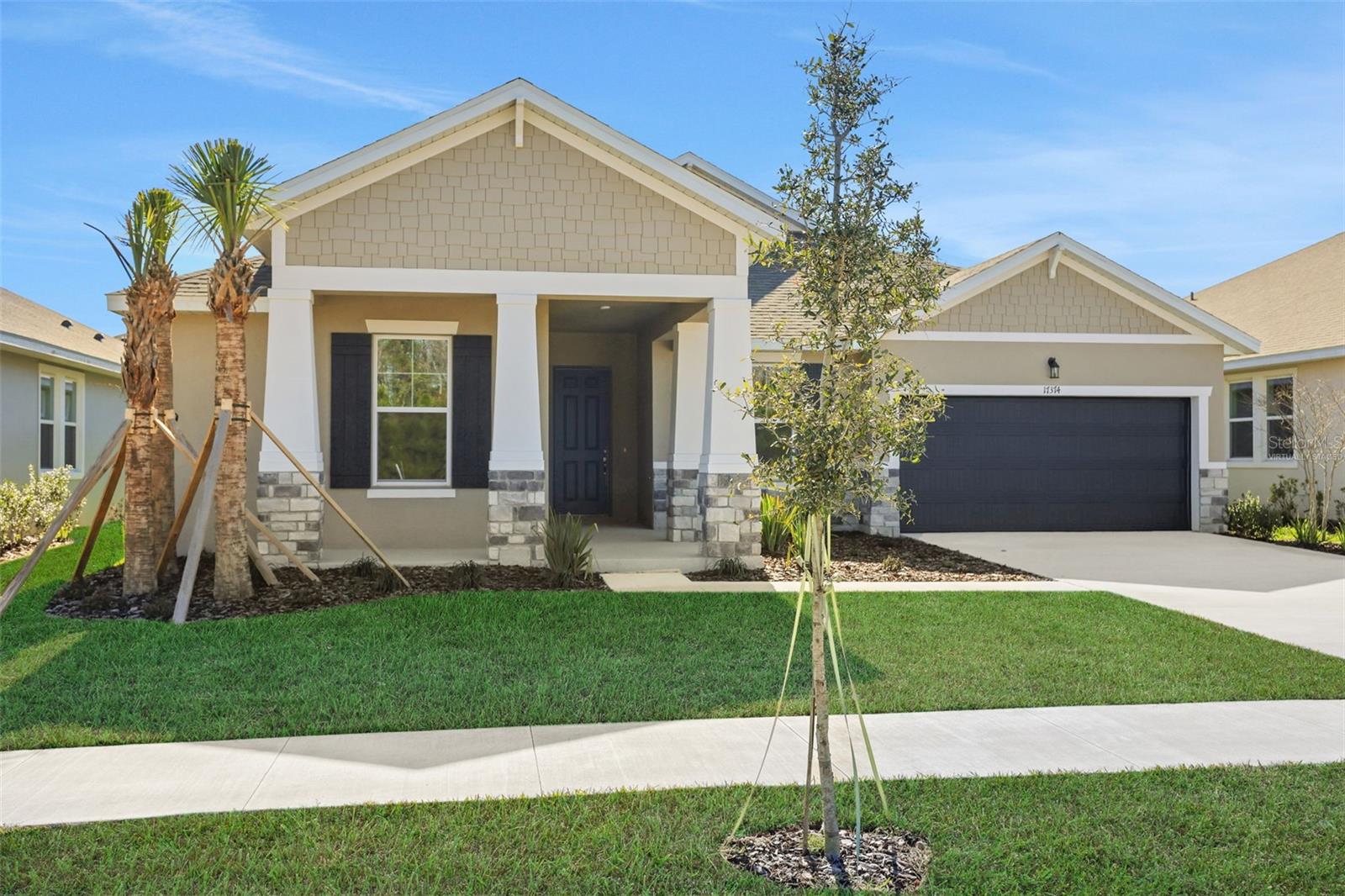 17374 Crisp Apple, Land O Lakes, FL 34638