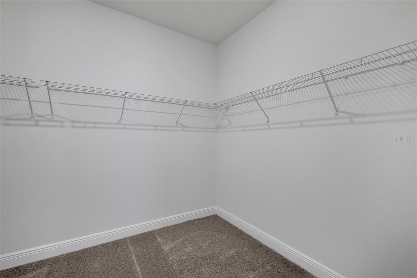 17374 Crisp Apple, Land O Lakes, FL 34638