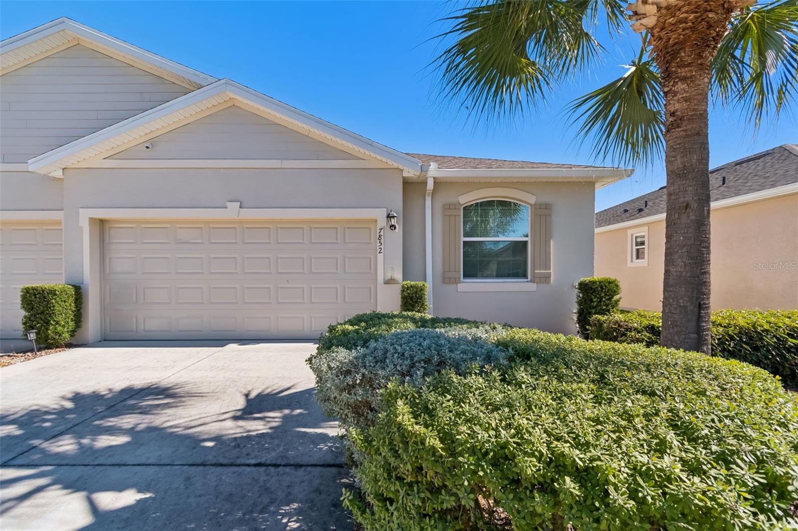 7852 Timberview, Wesley Chapel, FL 33545