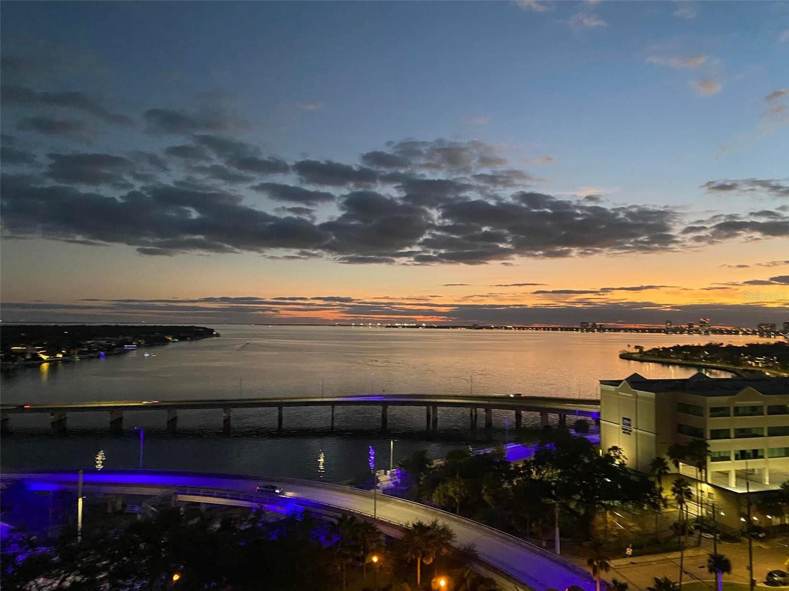 345 Bayshore Unit 1203, Tampa, FL 33606