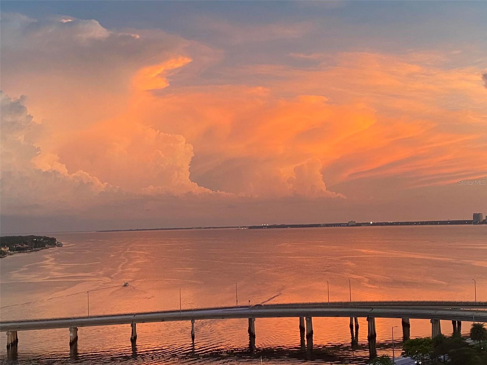 345 Bayshore Unit 1203, Tampa, FL 33606