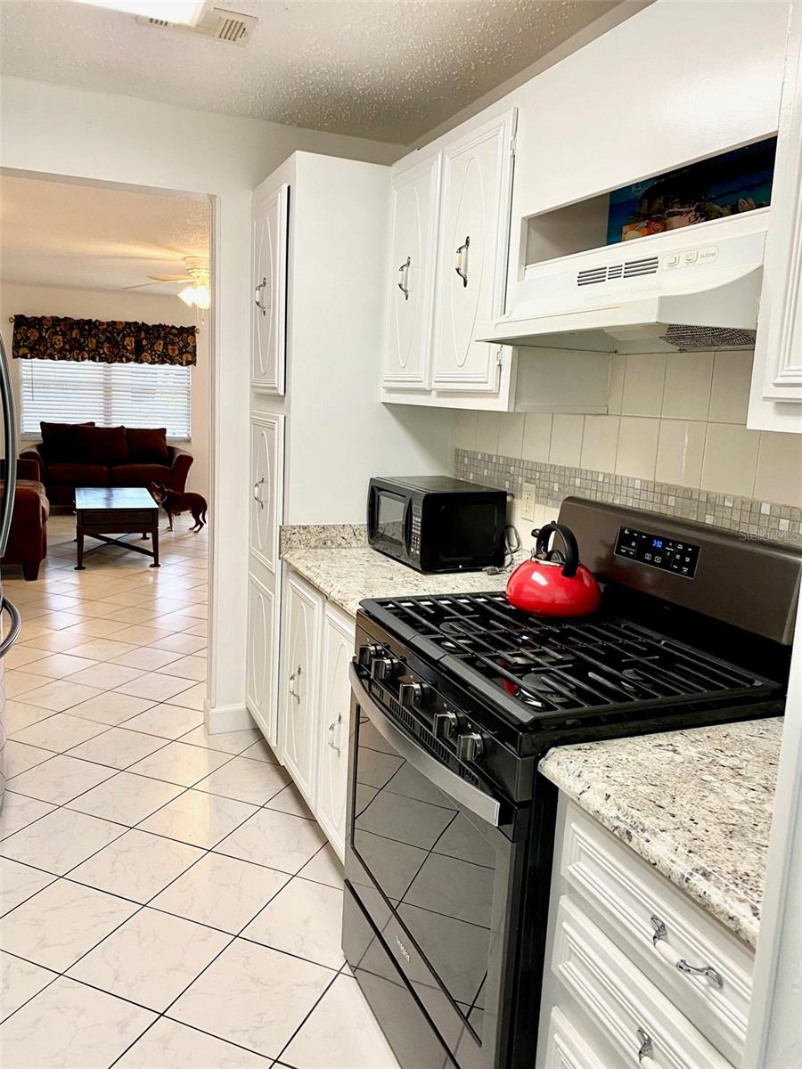 10032 65th Unit 17, St Petersburg, FL 33708