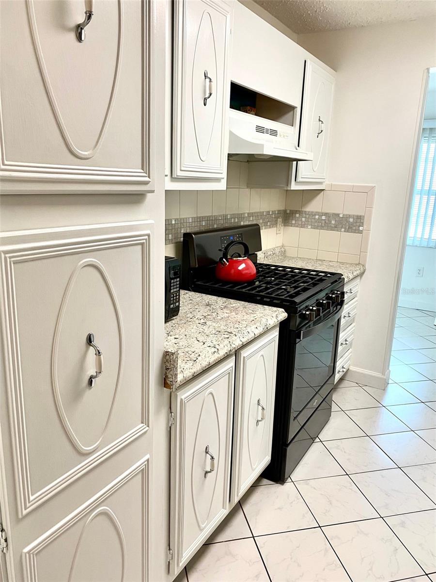 10032 65th Unit 17, St Petersburg, FL 33708