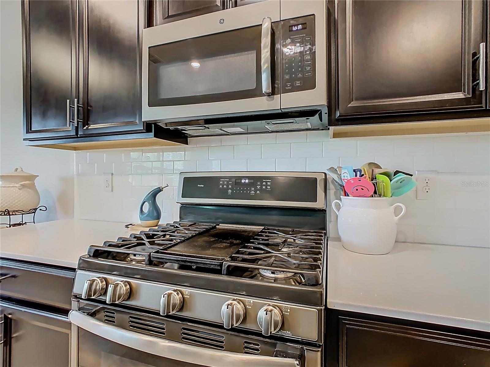 1055 Oak Bluff, Davenport, FL 33837