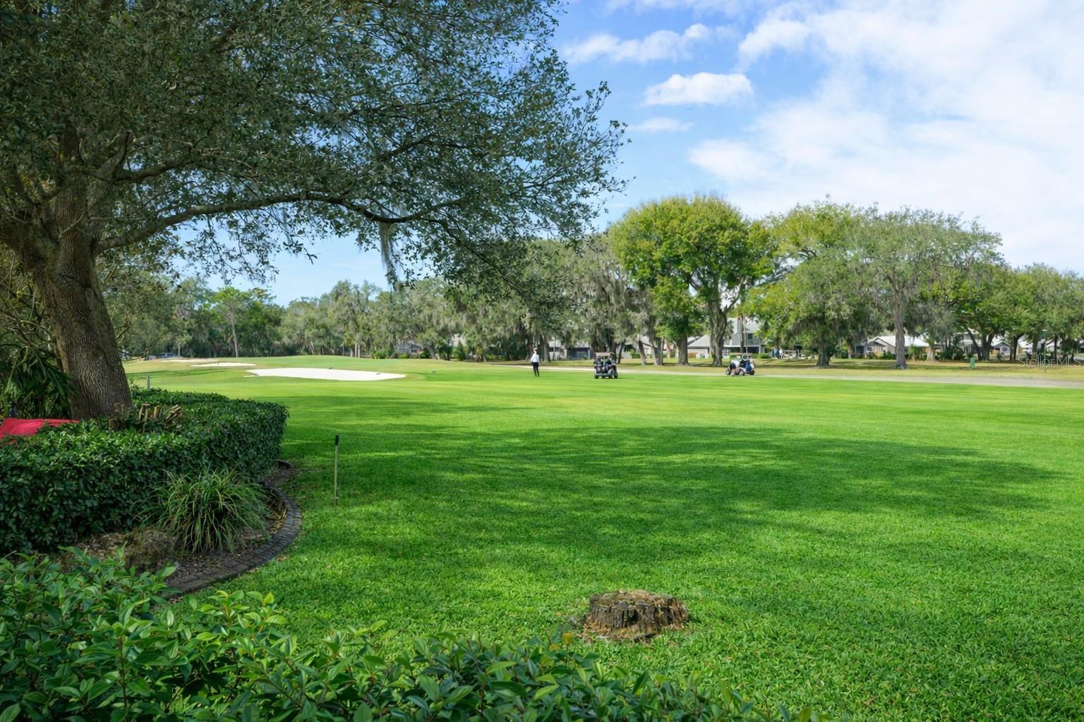 3311 Oak Vista, Port Orange, FL 32128