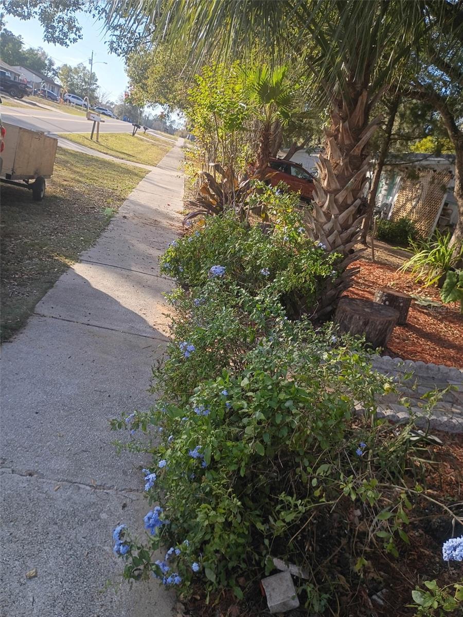 27043 Roper, Brooksville, FL 34602