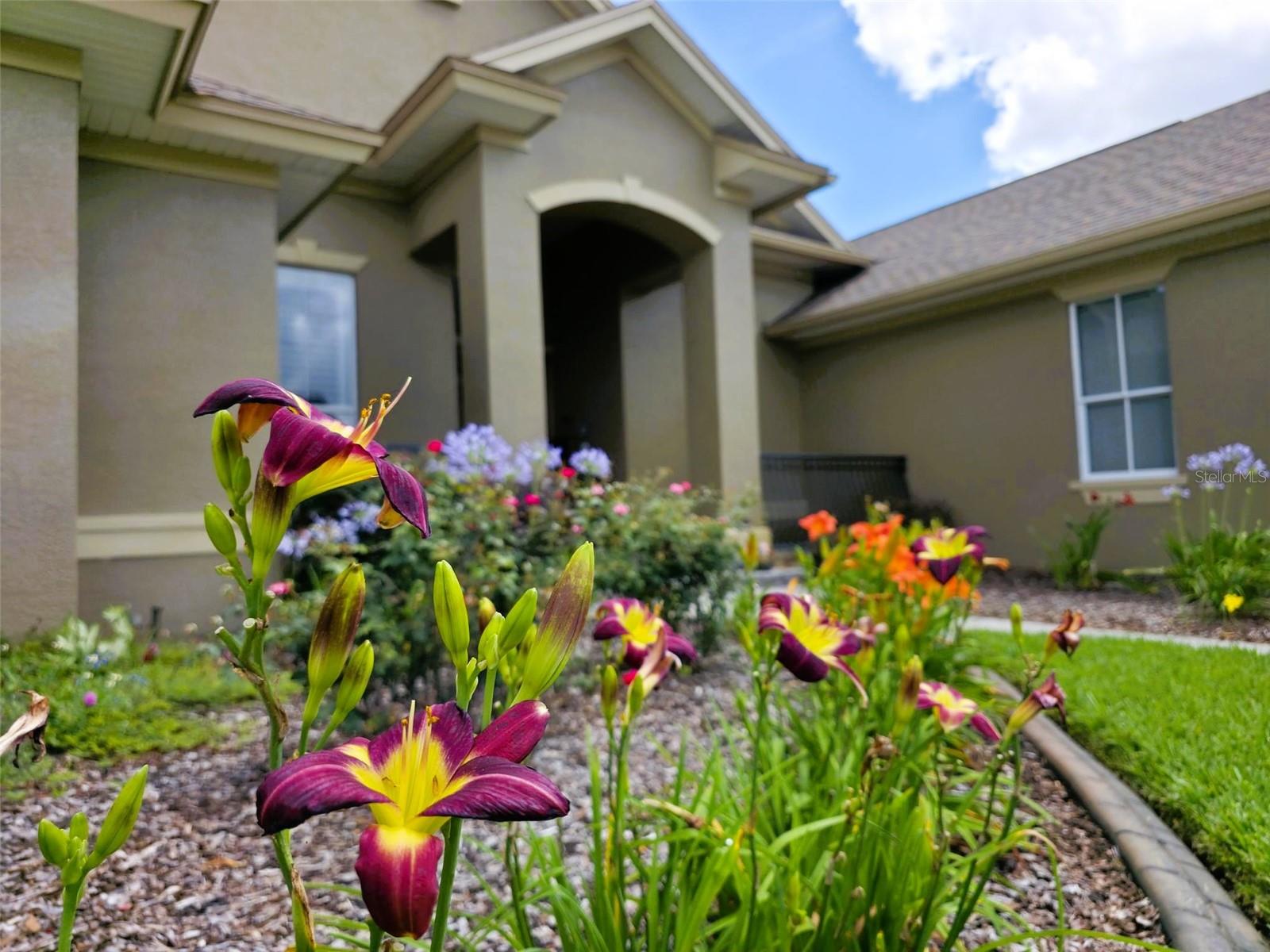 5629 Hillside Landings, Lakeland, FL 33810