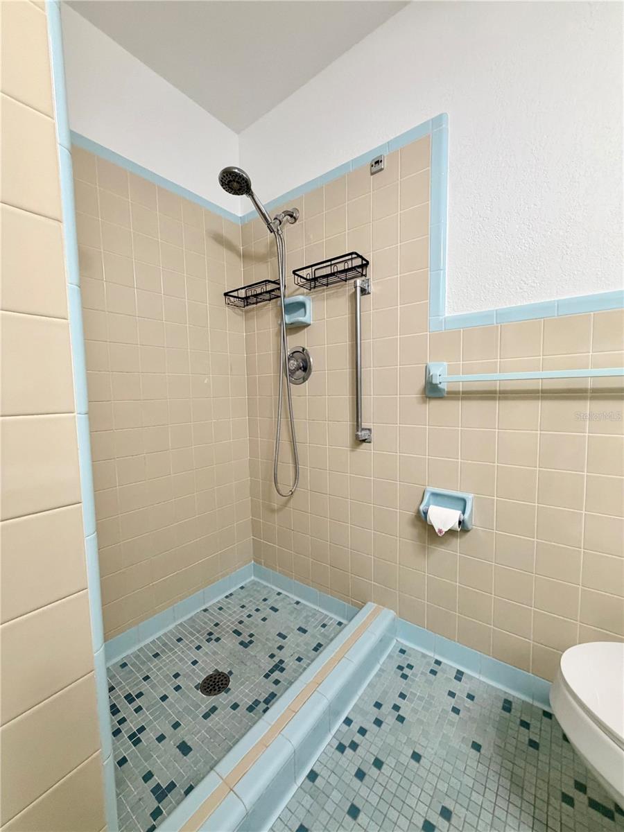 110 Corona, Clearwater, FL 33765