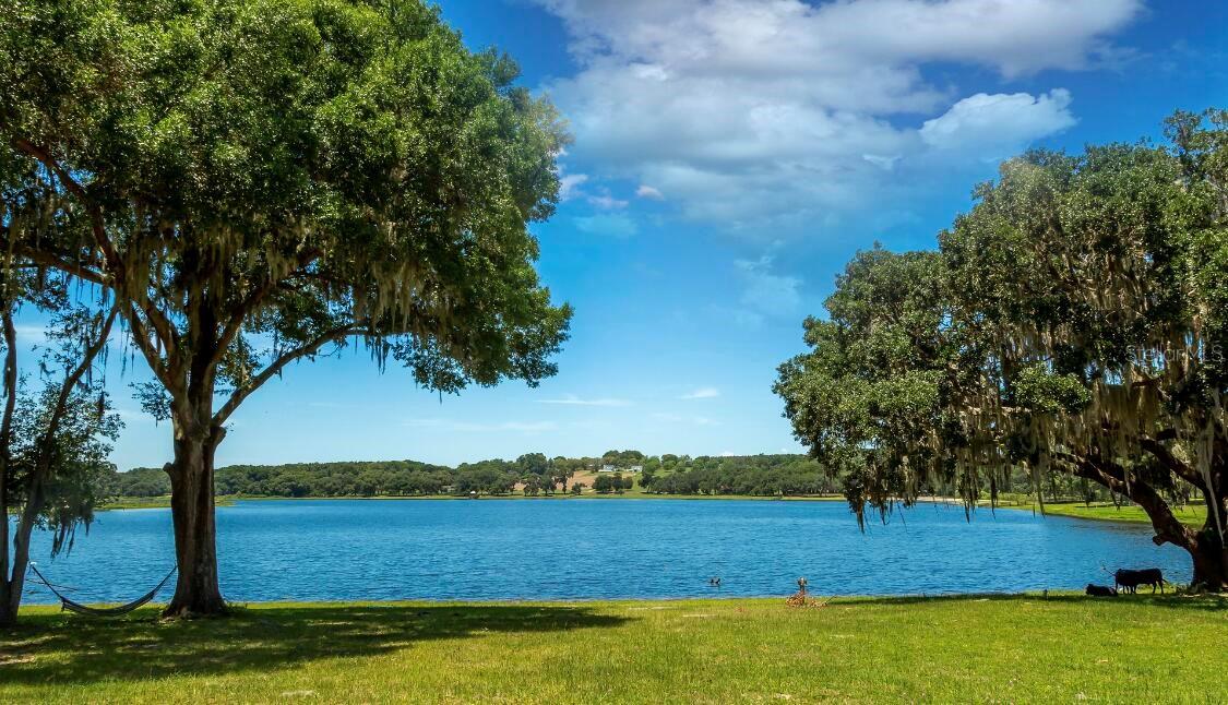 34710 Clayton, Dade City, FL 33523