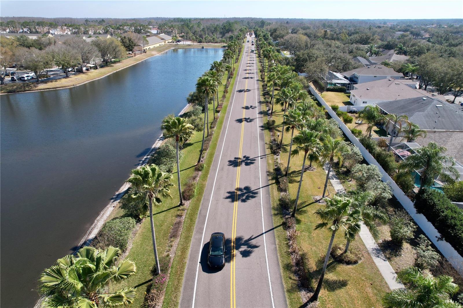 15246 Anguilla Isle, Tampa, FL 33647