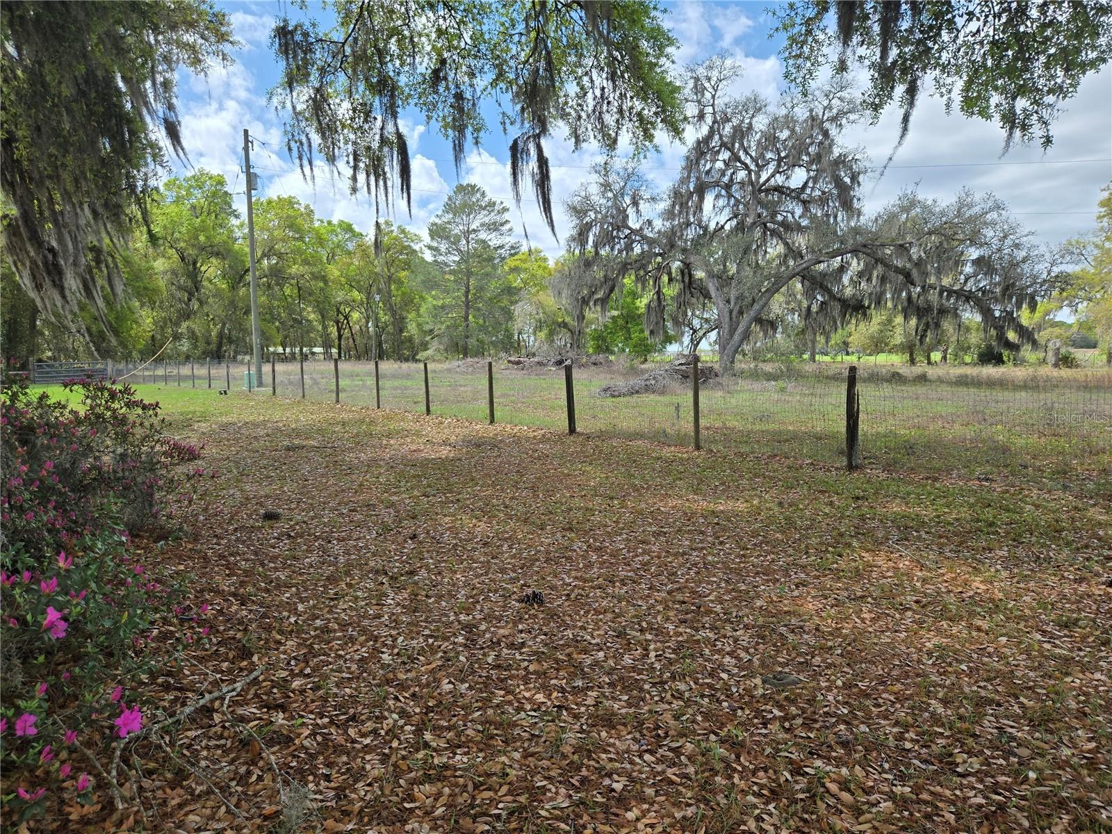 2327 Cr 528, Sumterville, FL 33585
