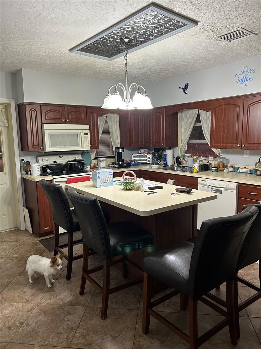 2327 Cr 528, Sumterville, FL 33585