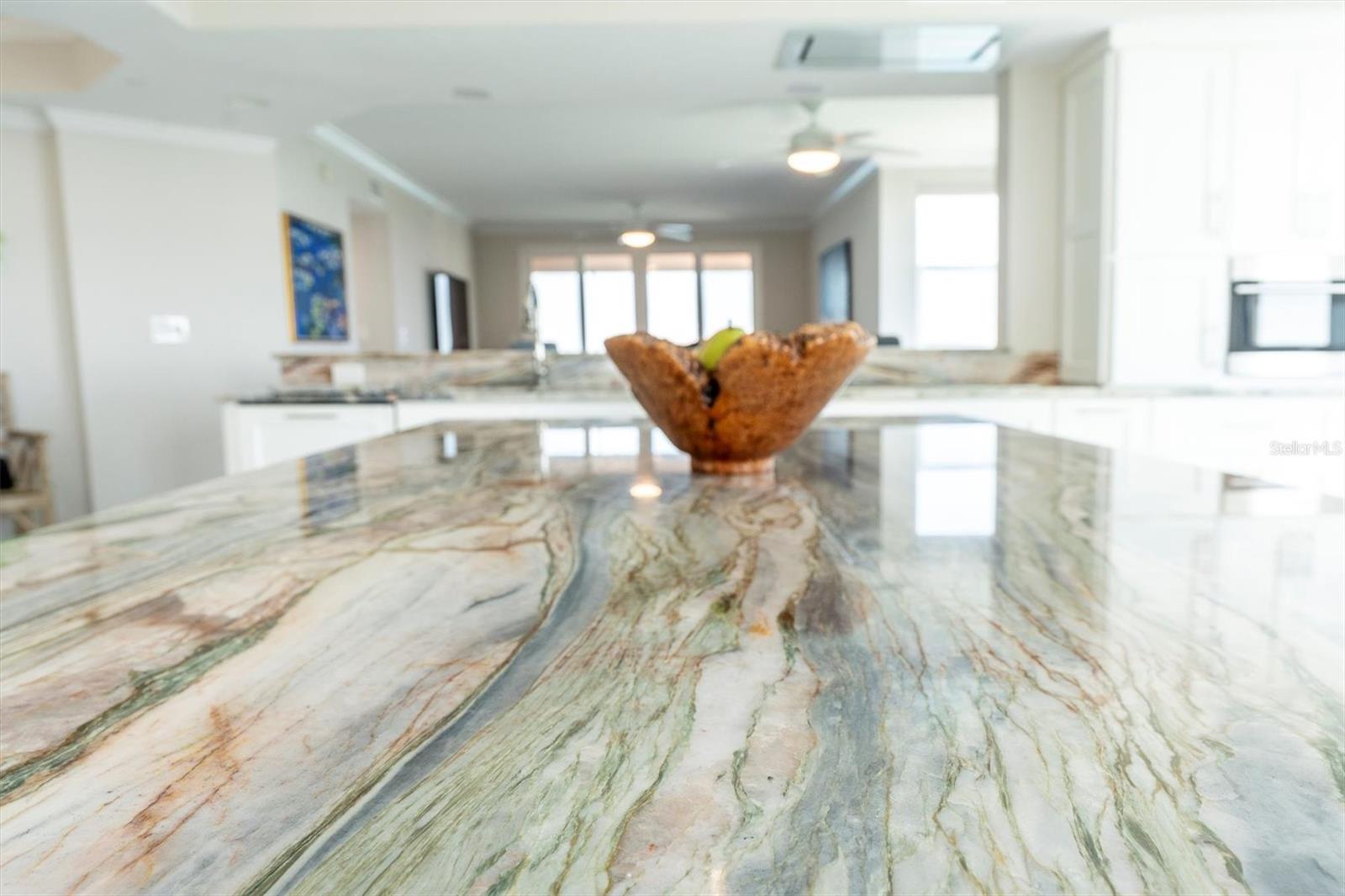 4993 Bacopa Unit 705, St Petersburg, FL 33715