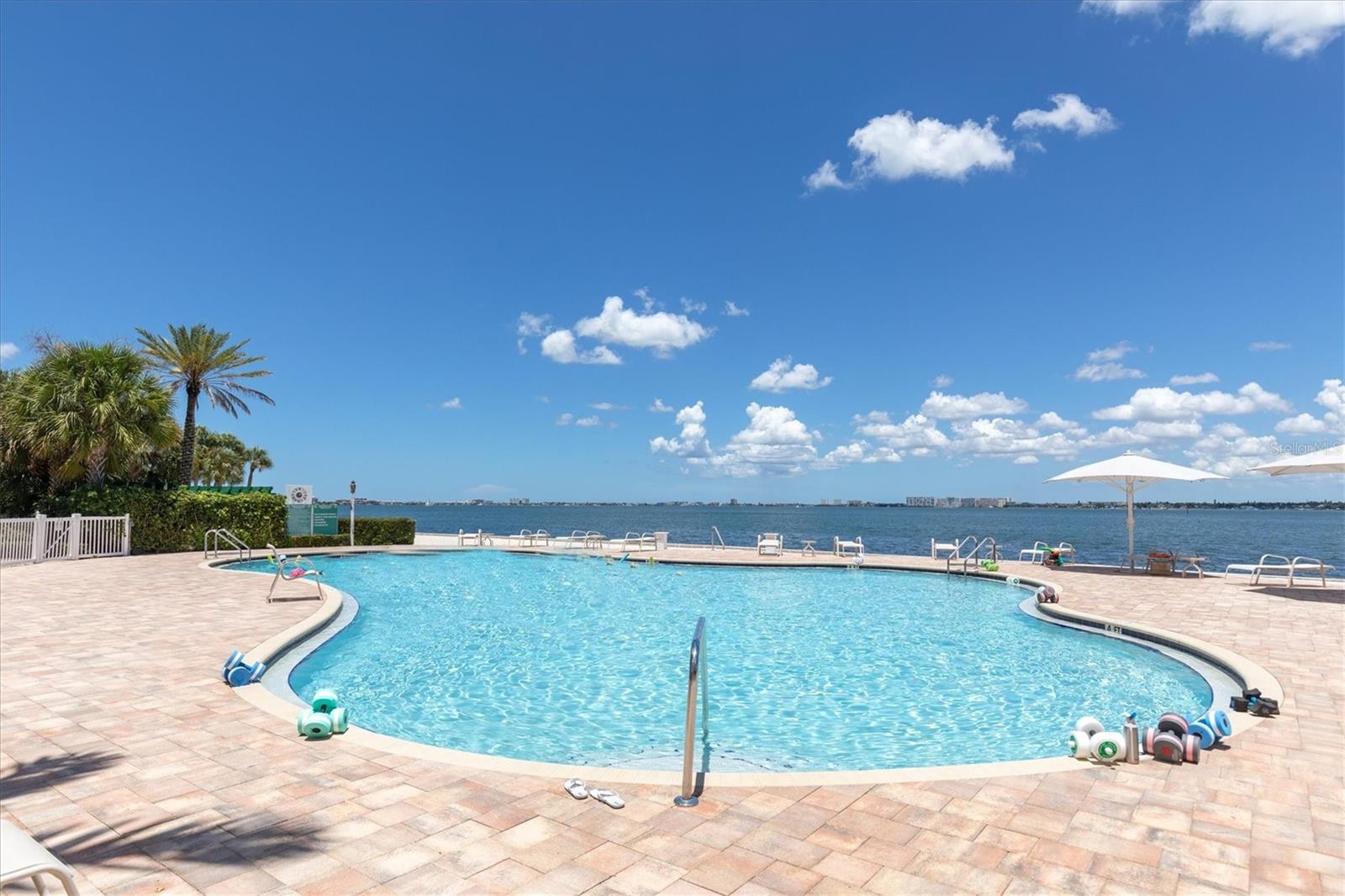 4993 Bacopa Unit 705, St Petersburg, FL 33715