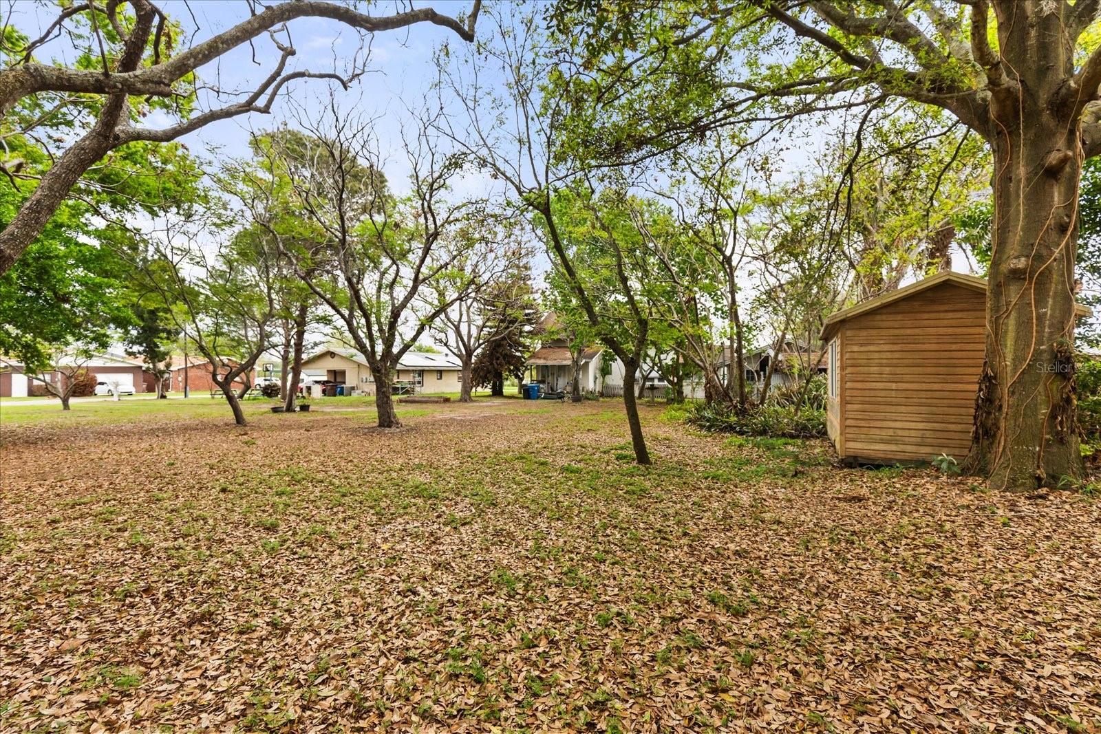 408 Mckay, Haines City, FL 33844