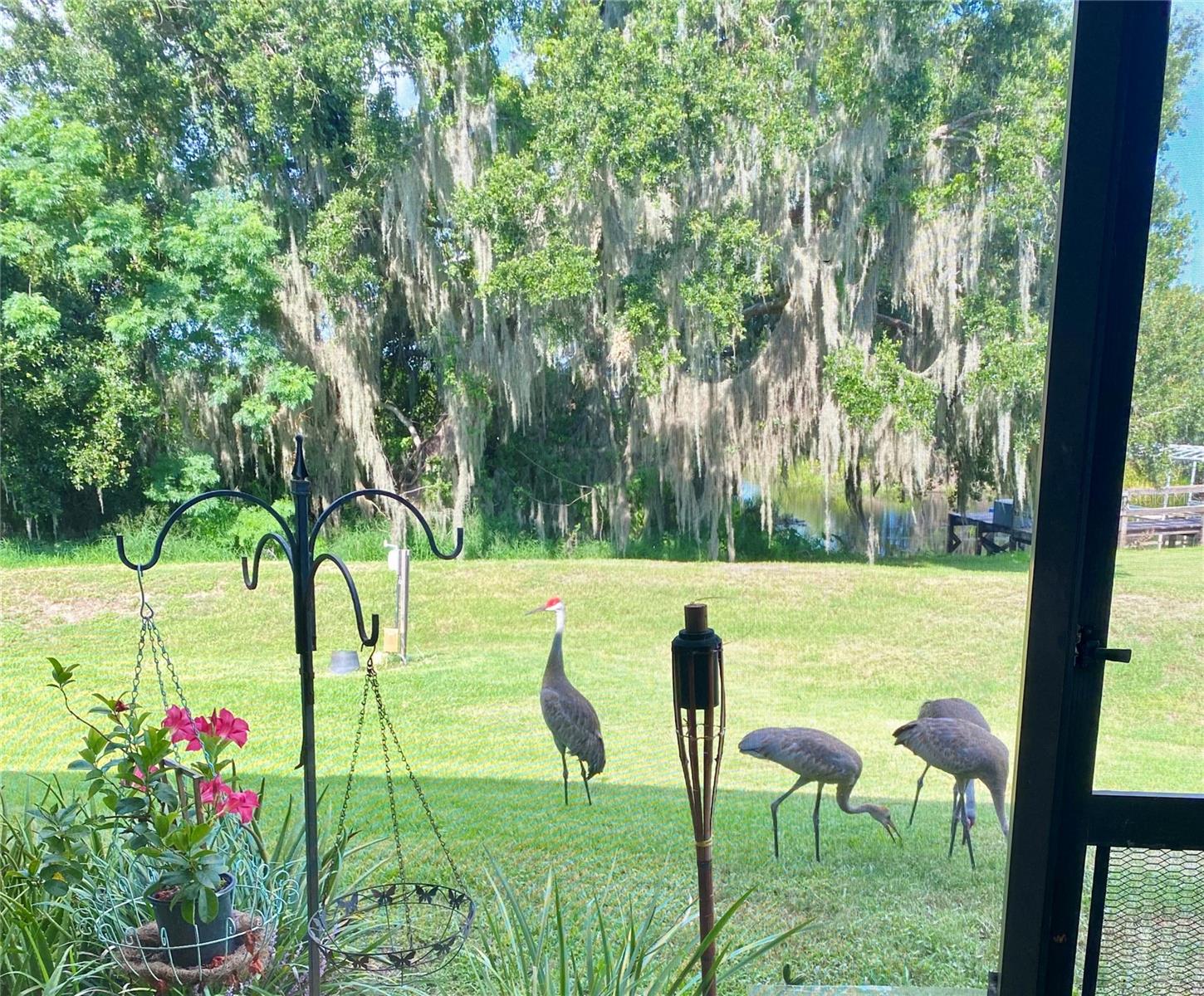 1051 Green Gate, Groveland, FL 34736