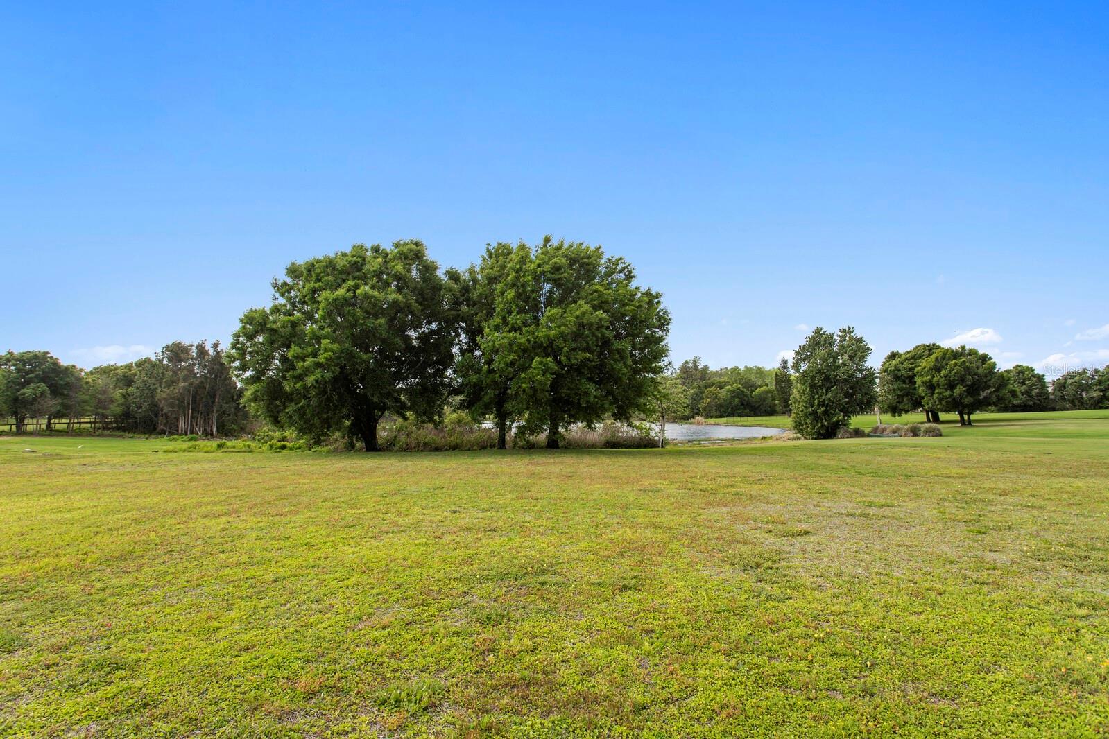 17253 Breeders Cup, Odessa, FL 33556
