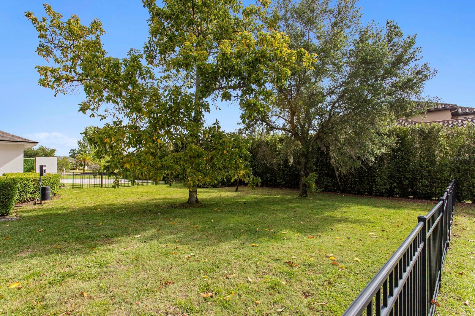 17253 Breeders Cup, Odessa, FL 33556