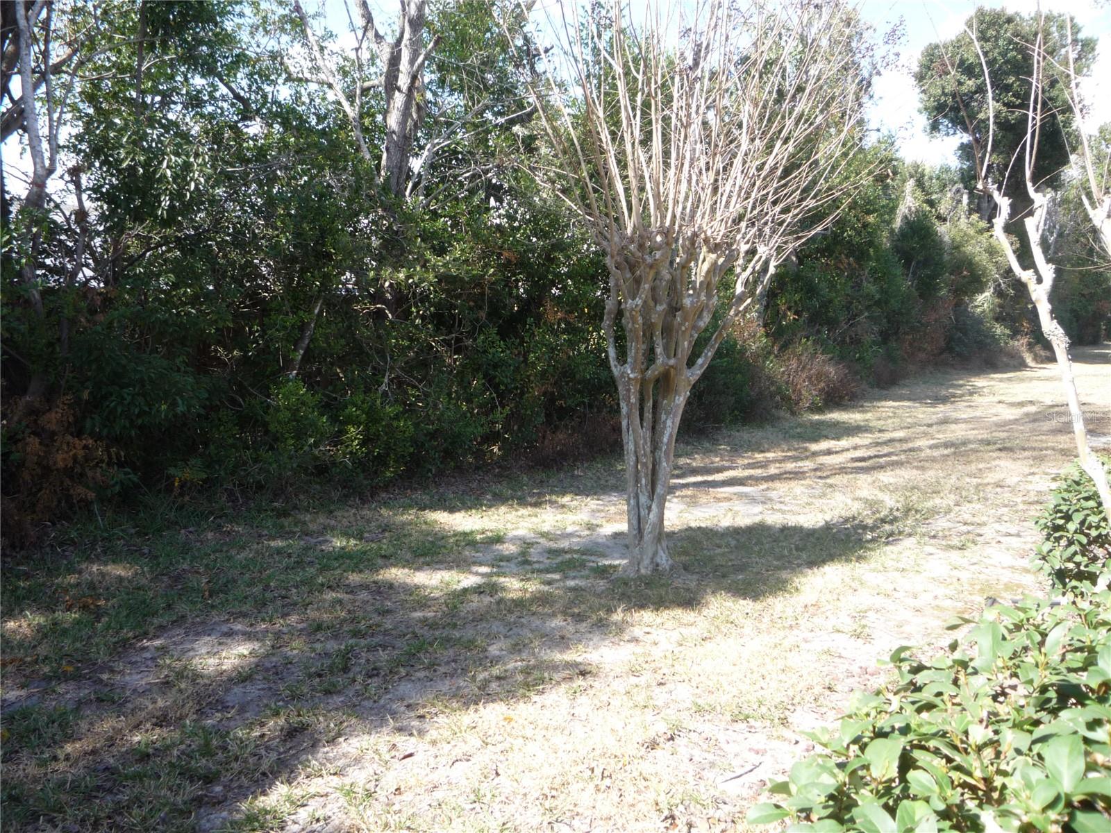 101 Grand Plaza Unit F3, Orange City, FL 32763