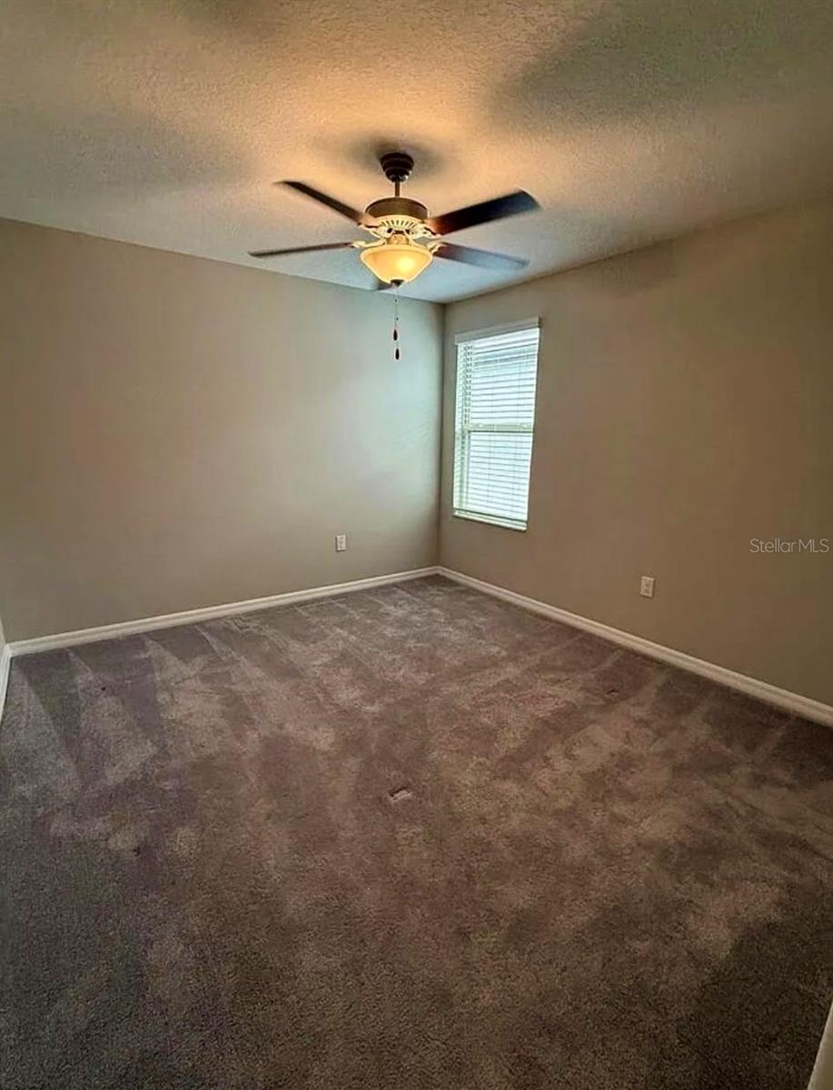 12957 Wildflower Meadow, Riverview, FL 33579