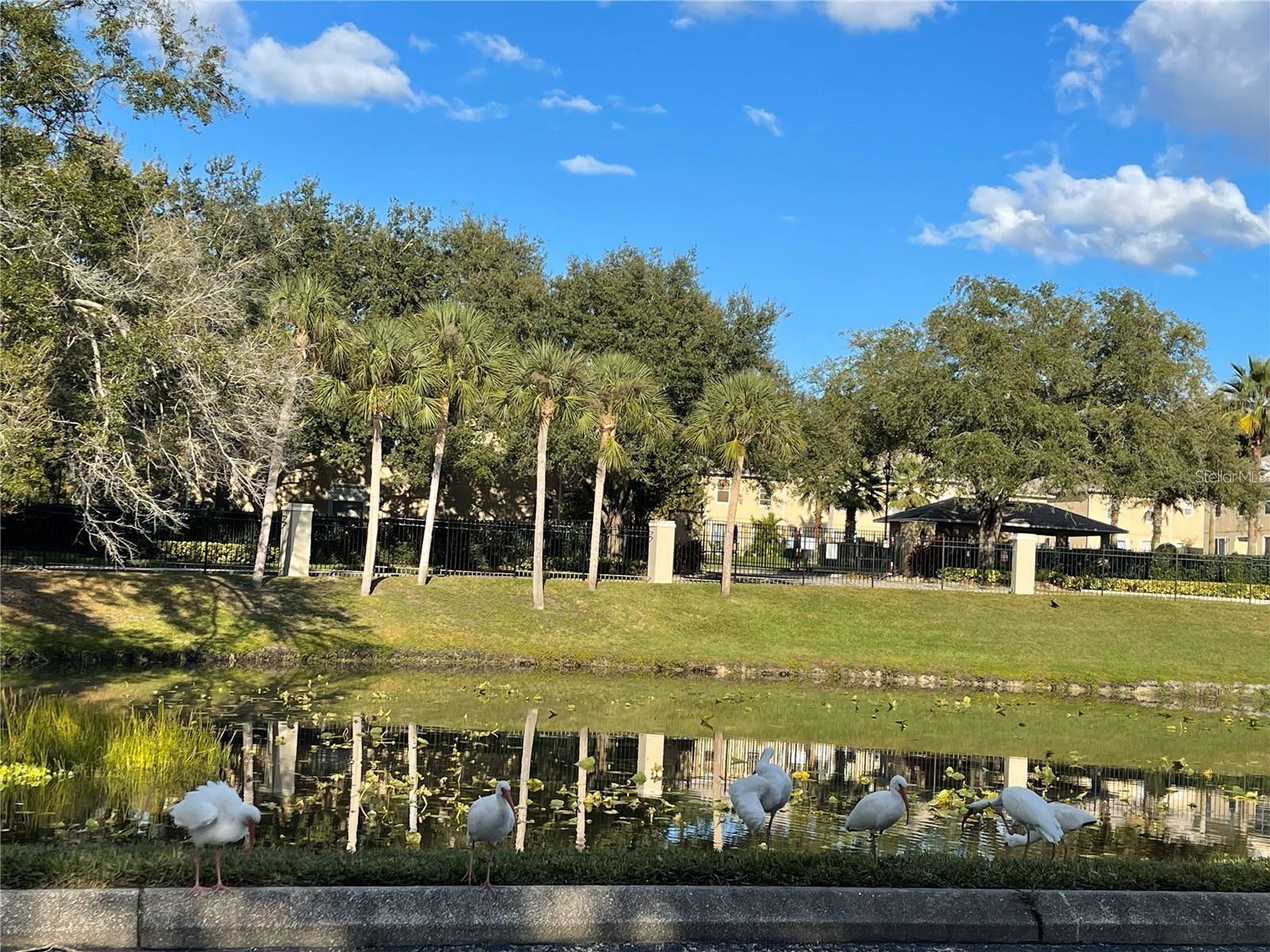 236 Afton Unit 305, Altamonte Springs, FL 32714