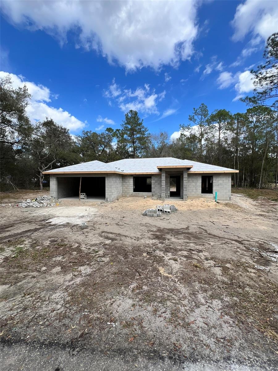 3 Guava Pass, Ocklawaha, FL 32179