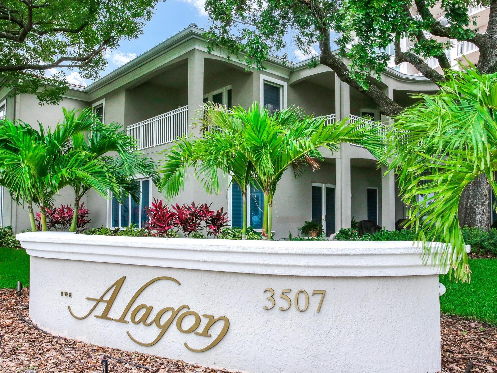 3507 Bayshore Unit 1202, Tampa, FL 33629