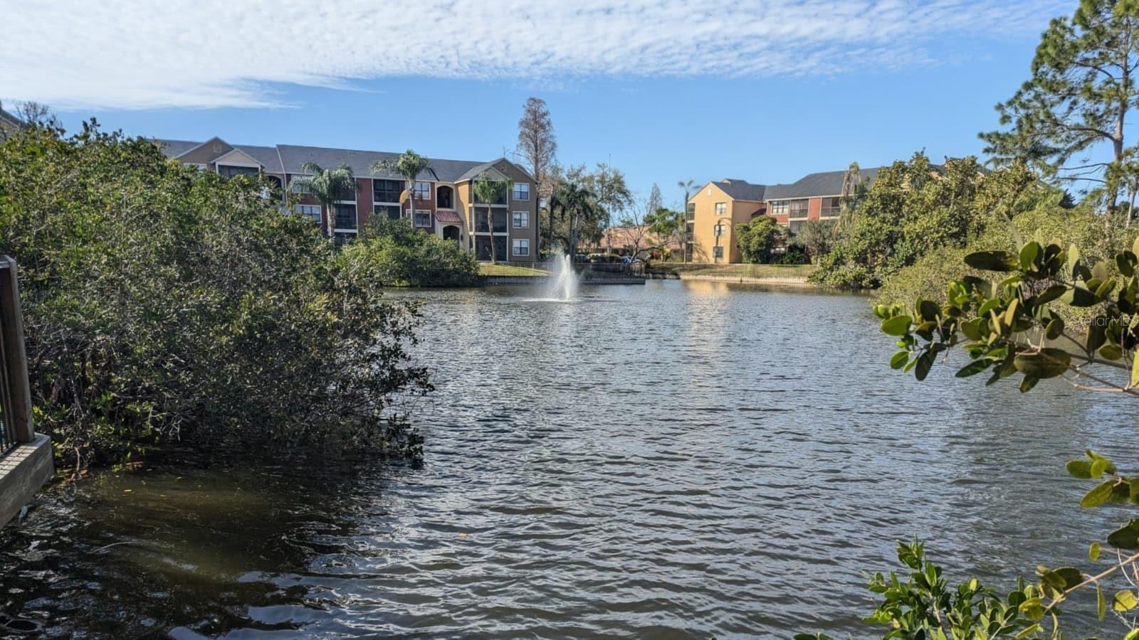 11901 4th Unit 5212, St Petersburg, FL 33716