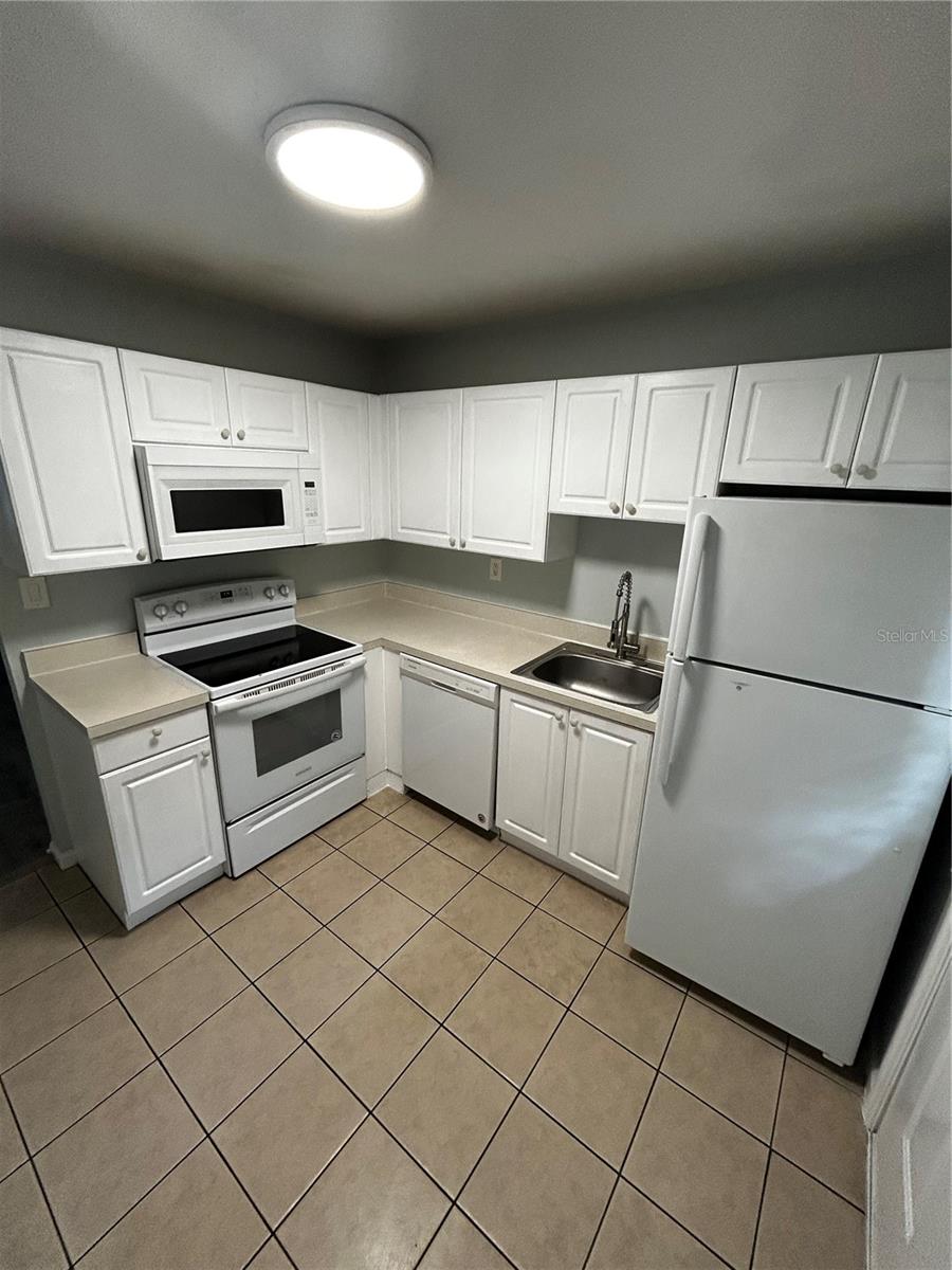 201 Pine Violet Unit 201, Tampa, FL 33612