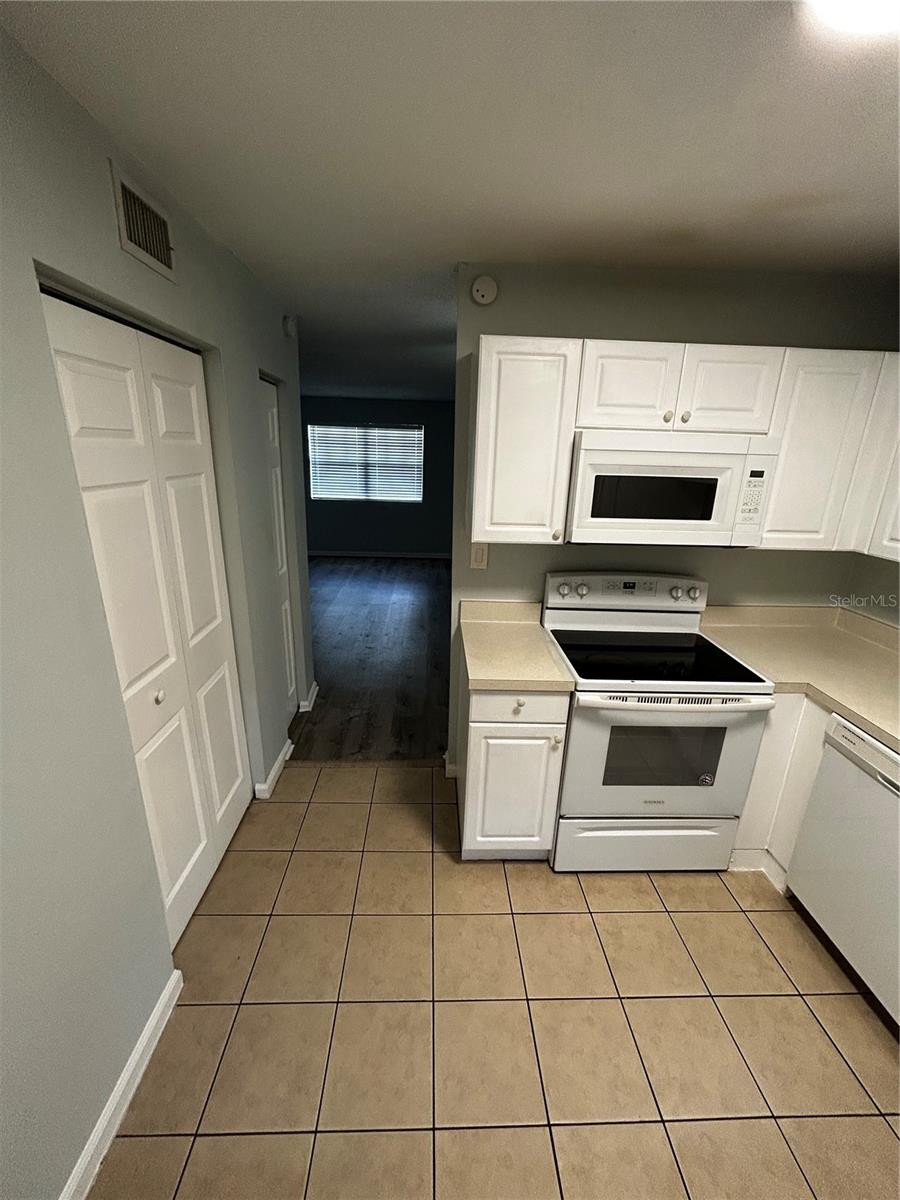 201 Pine Violet Unit 201, Tampa, FL 33612