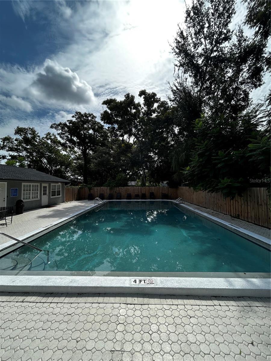 201 Pine Violet Unit 201, Tampa, FL 33612