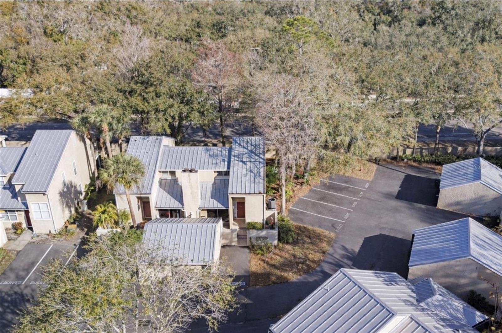 3401 Cypress Head, Tampa, FL 33618