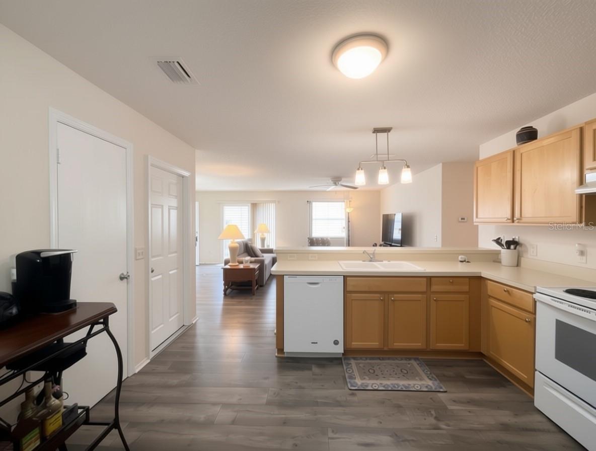 16938 94th Sunnybrook, The Villages, FL 32162