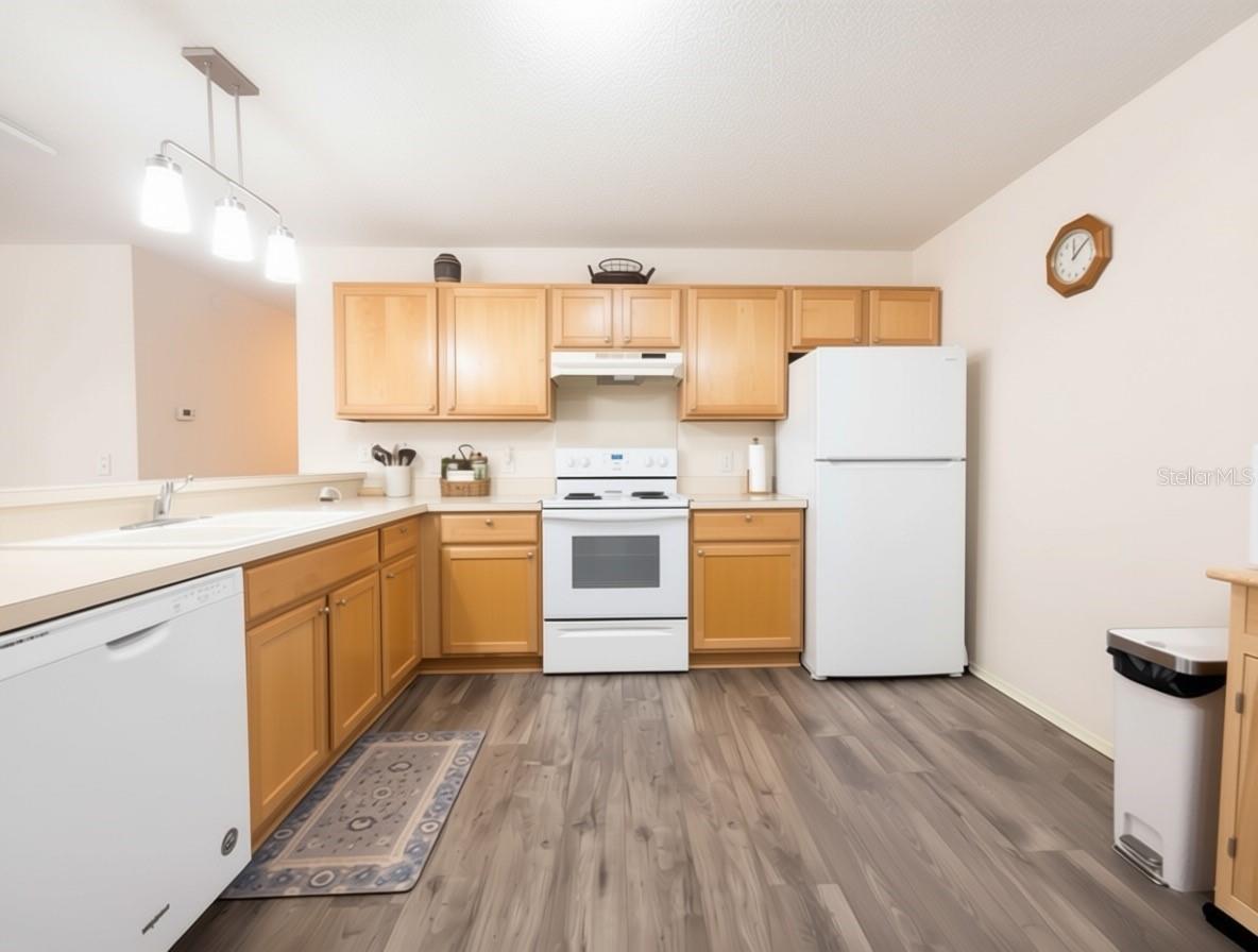 16938 94th Sunnybrook, The Villages, FL 32162