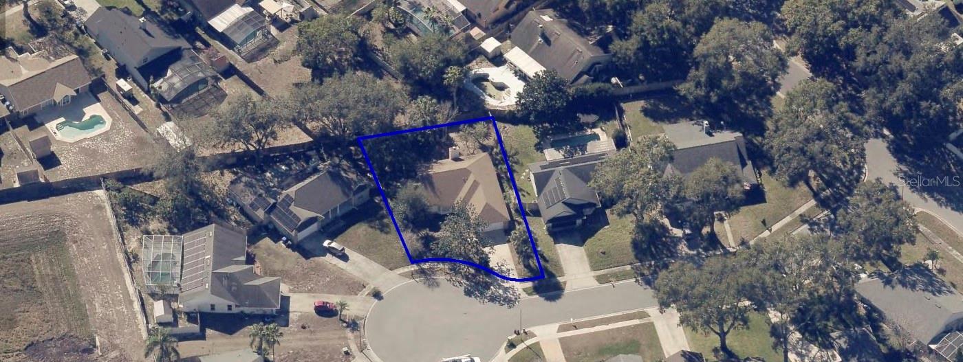 2419 Liela Lee, Ocoee, FL 34761