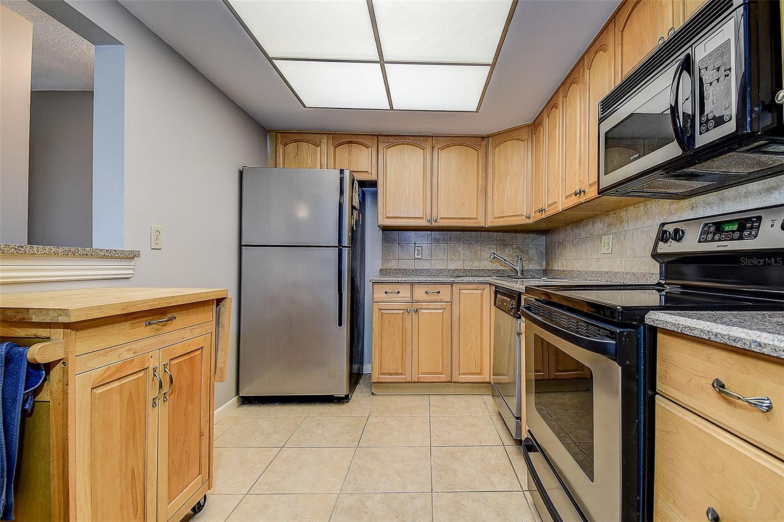5220 Brittany Unit 509, St Petersburg, FL 33715