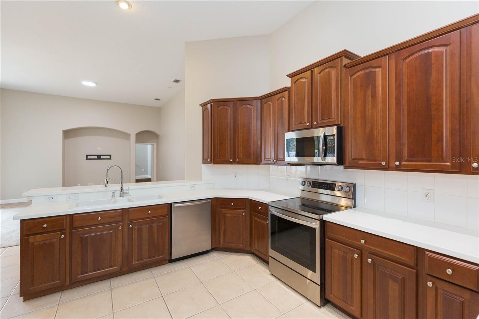 4813 Artesian, Land O Lakes, FL 34638