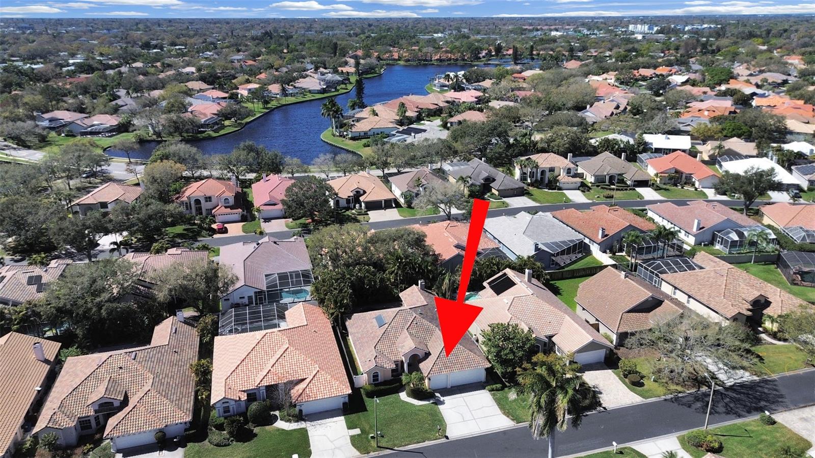 4833 Windmill Palm, St Petersburg, FL 33703