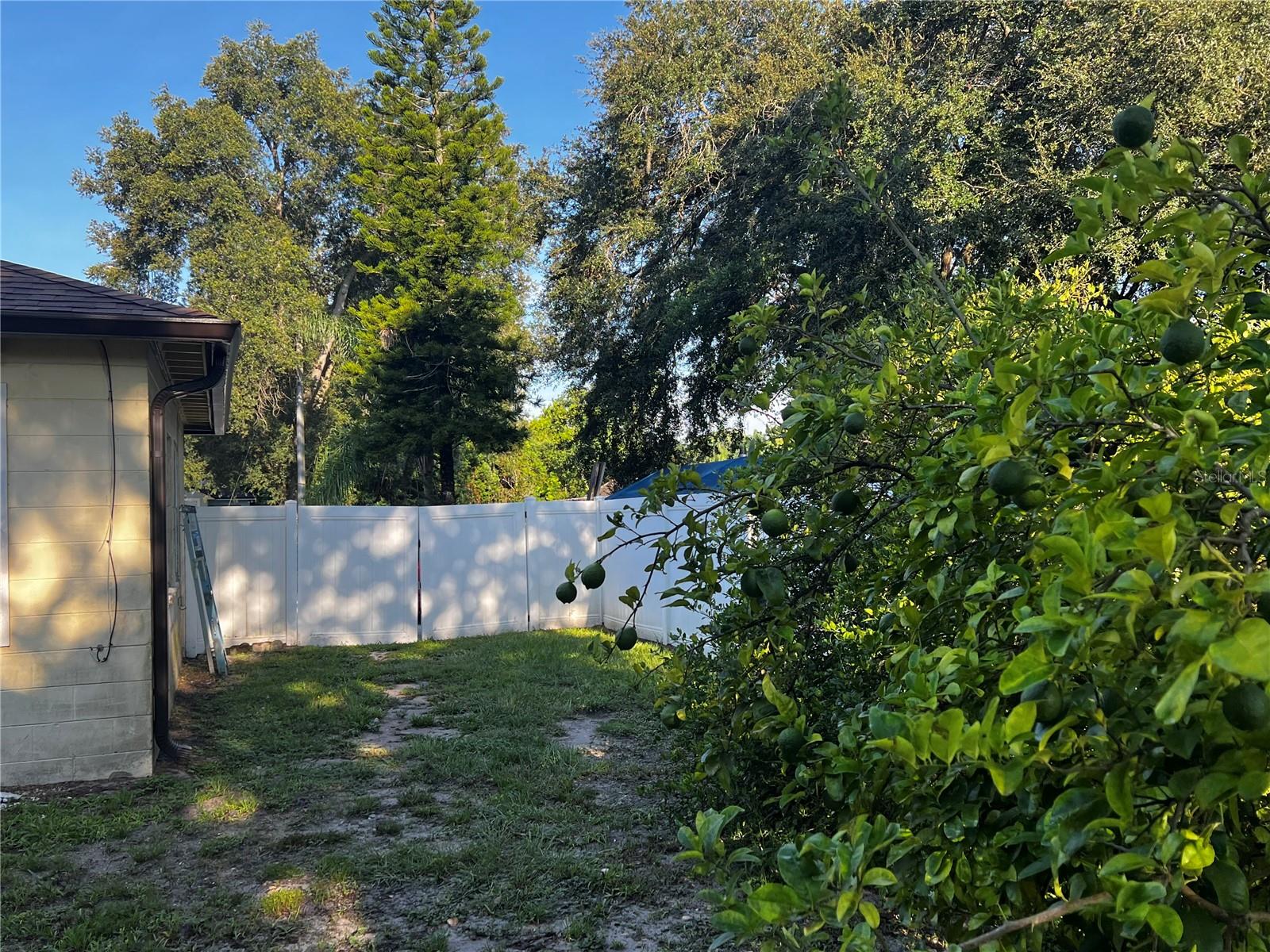 2427 Princeton, Sanford, FL 32771