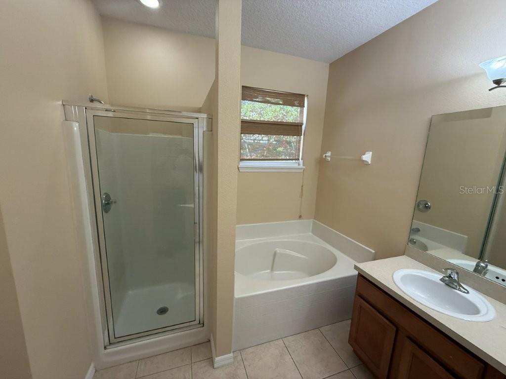 1102 Magnolia Blossom, Apopka, FL 32712